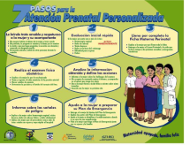 7 Pasos Para la Atención Prenatal Personalizada (7 Steps for Personalized Prenatal Care) [Poster]