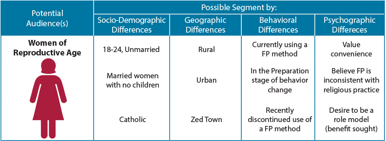 How to Do Audience Segmentation - The Compass for SBC