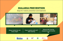 Steps for Malaria Prevention and Treatment