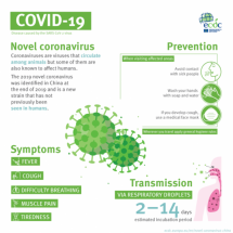 COVID-19 Infographic – European Center for Disease Prevention and Control