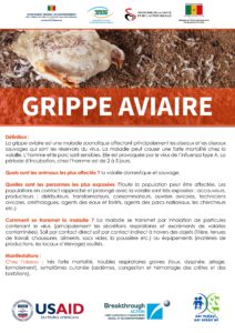 /wp-content/uploads/Maquette_affiche-Grippe-aviaire-scaled.jpg