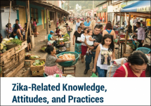 Programmatic Implications of Zika-Related Knowledge, Attitudes, and Practices