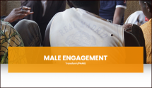 Male Engagement