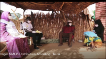 Niger National Malaria Control Program Seasonal Malaria Chemoprevention Campaign Videos