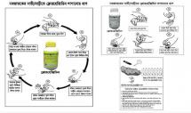 Chlorhexidine Instruction Poster [Bangladesh]