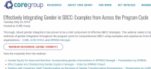 Effectively Integrating Gender in SBCC: Examples from Across the Program Cycle