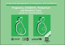 Pregnancy, Childbirth, Postpartum and Newborn Care : A Guide for Essential Practice