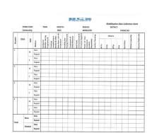 BCS Program Monitoring Form