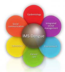 Integrated Management Strategy for Dengue Prevention and Control