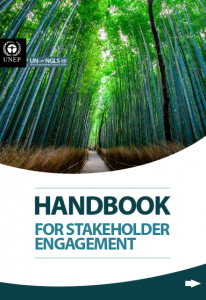 The Stakeholder Engagement Handbook