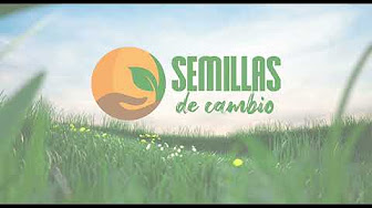 Seeds of Change