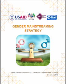 Gender Mainstreaming Strategy (2015-2020)