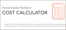 Female Genital Mutilation Cost Calculator