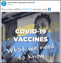 How the COVID-19 Vaccine Works